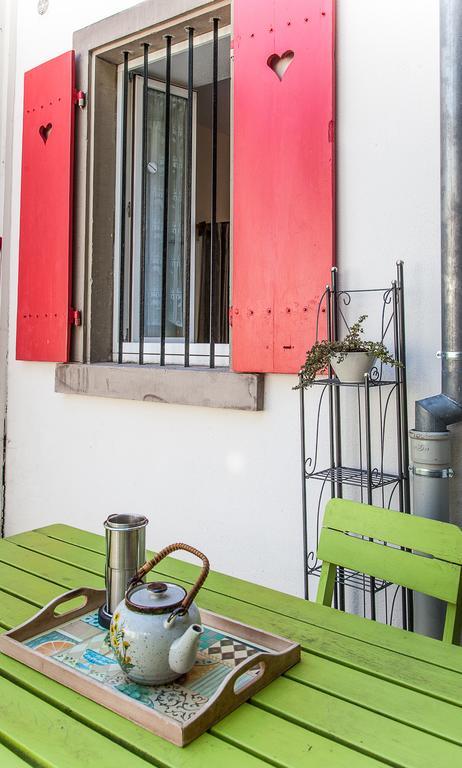 Villa Schiller, 2 Studios Cote Jardin - Quartier Orangerie Στρασβούργο Εξωτερικό φωτογραφία